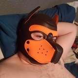 jackpupr from onlyfans