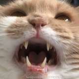 user701050274235559936 from fansly