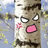 VengefulBirch from patreon