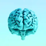 NamelessBrain from patreon
